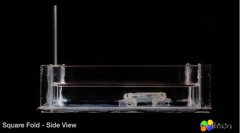 “Rollbot”软体机器人无需动力就能改变形状