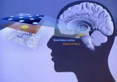 利用海量真实数据来“喂养”AI，是让AI快速提升