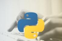 Python「八宗罪」