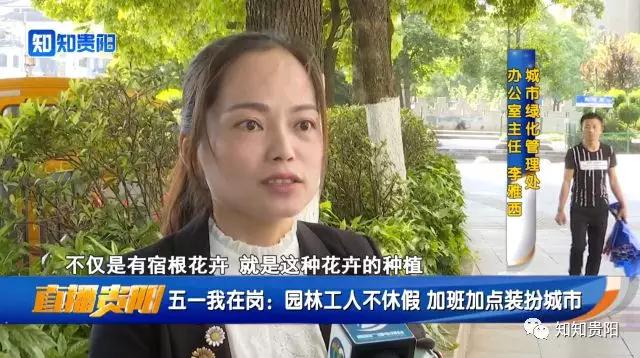 迎接数博会 园林工人加班加点装扮城市