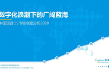 2020年中国语音OS市场专题分析